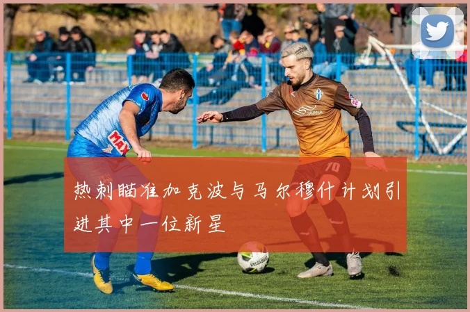 热刺瞄准加克波与马尔穆什计划引进其中一位新星